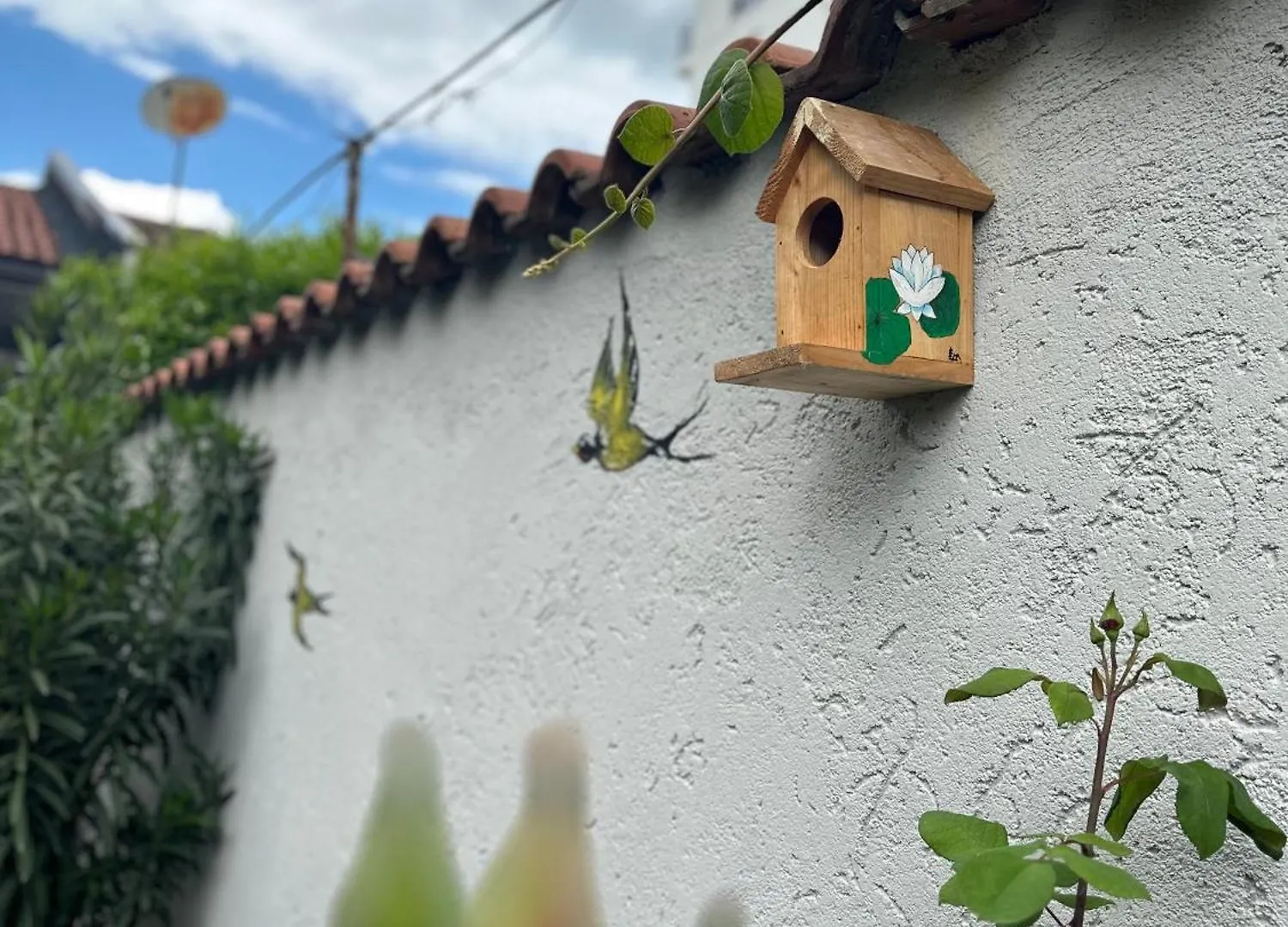 Birds Hostel Szkodra
